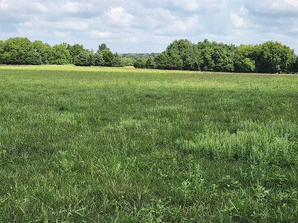 Tbd Junior Lane, Elkland, MO 65644