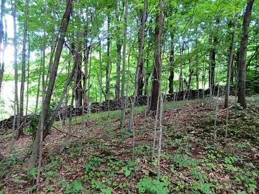 County Highway 48 photo 1