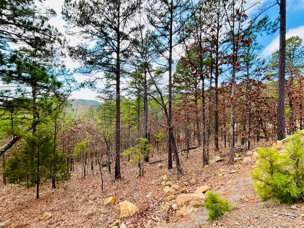 2 Sardis View Dr, Tuskahoma, OK 74574