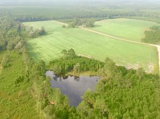 688 Pine Level Church Rd, Alma, GA 31510