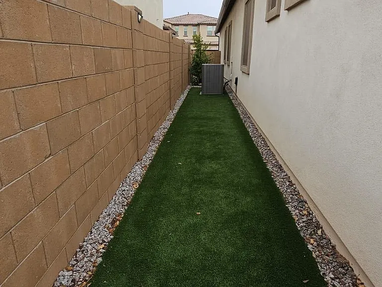 Side run for dogs
