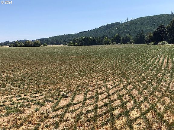 4th image of 24655 Yamhill River Rd