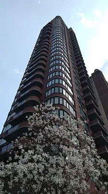 Rented by LG Fairmont Group | media 10