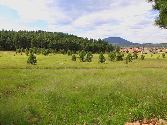 Adjoining open space