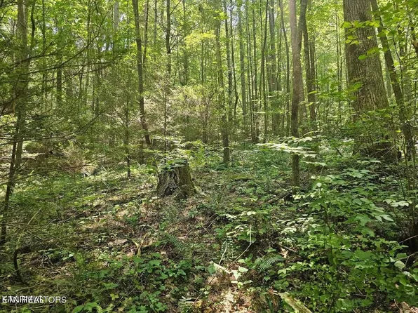 0 Happy Top Rd, Grandview, TN 37337