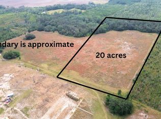 0 SE Walter Henderson Rd, Mayo, FL 32066