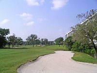 1st image of 3250 N Palm Aire Dr APT 110