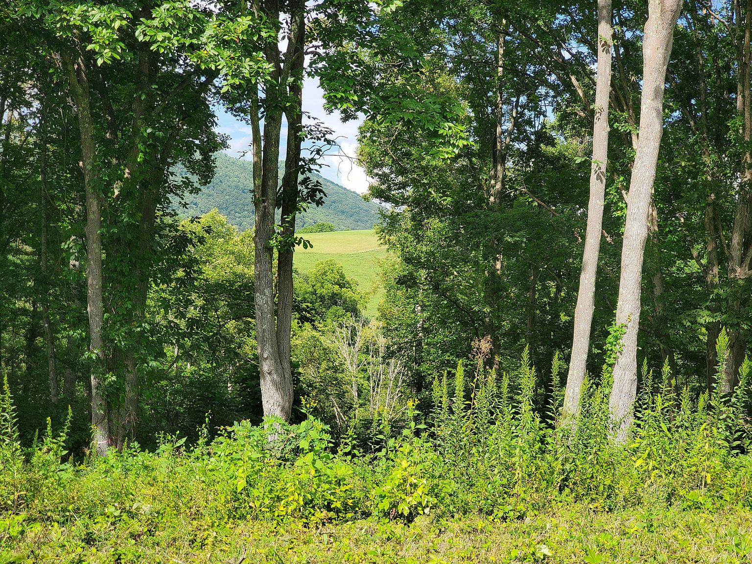 Dry Hill Rd, Butler, TN 37640 MLS 9959783 Zillow