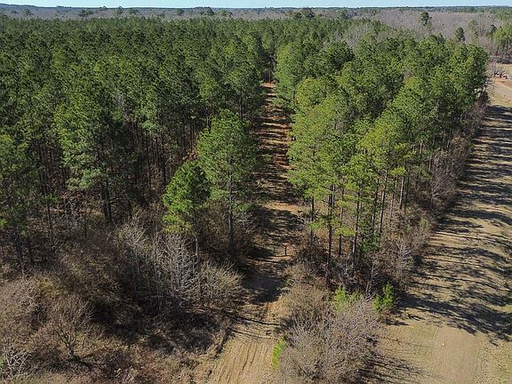 4th image of 4 W Jess Lyons Rd