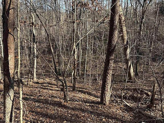 3rd image of 0 Hawkins Ln