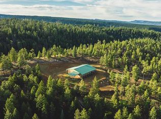 1112 S Black Bear Pl, Pagosa Springs, CO 81147