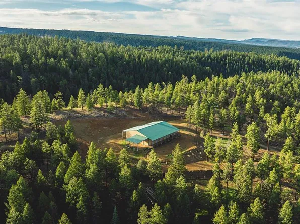 1112 S Blackbear Place, Pagosa Springs, CO 81147