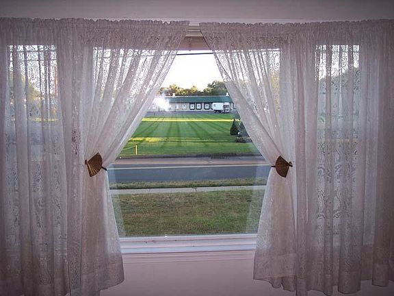 Beautiful View out Living Room Window