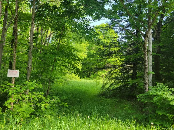 Doland Rd #28ACRES, Winter, WI 54896