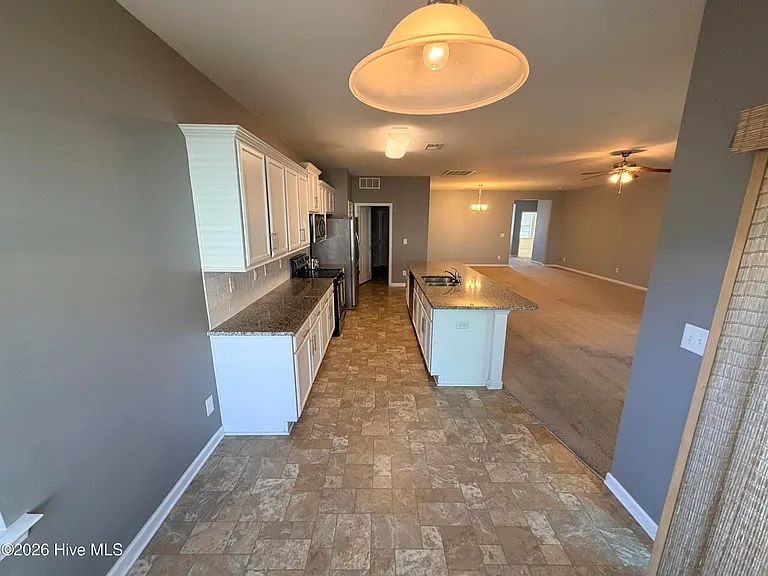 319 Louisia Mae Way — Photo 5