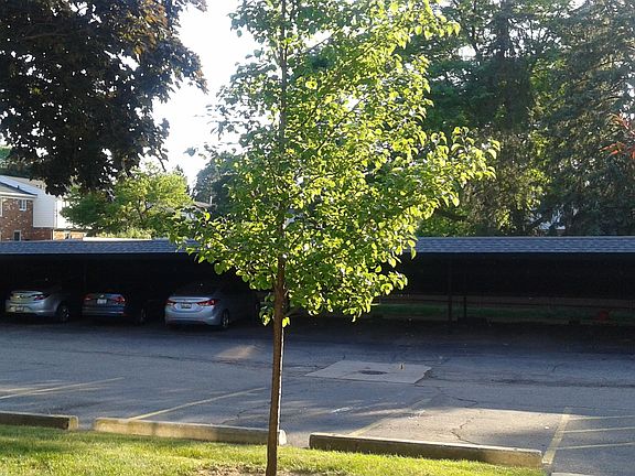 5th image of 568 E Fox Hills Dr #1