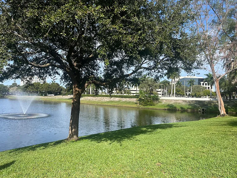 Lake and over the wall is Town centre Mall threw the gate