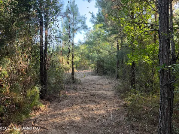 Highway 570, Summit, MS 39666