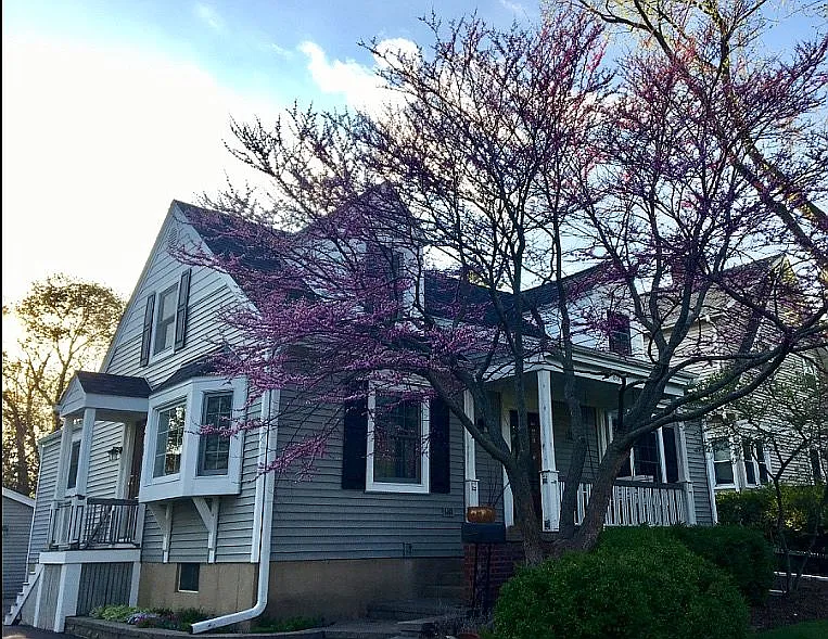 806 S Cook St photo 1