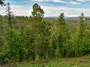 125 King Richard Dr, Ruidoso, NM 88345