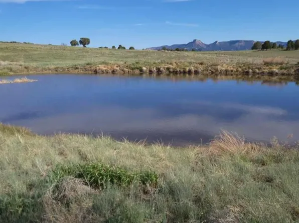 Lot 8 Road 33, Mancos, CO 81328