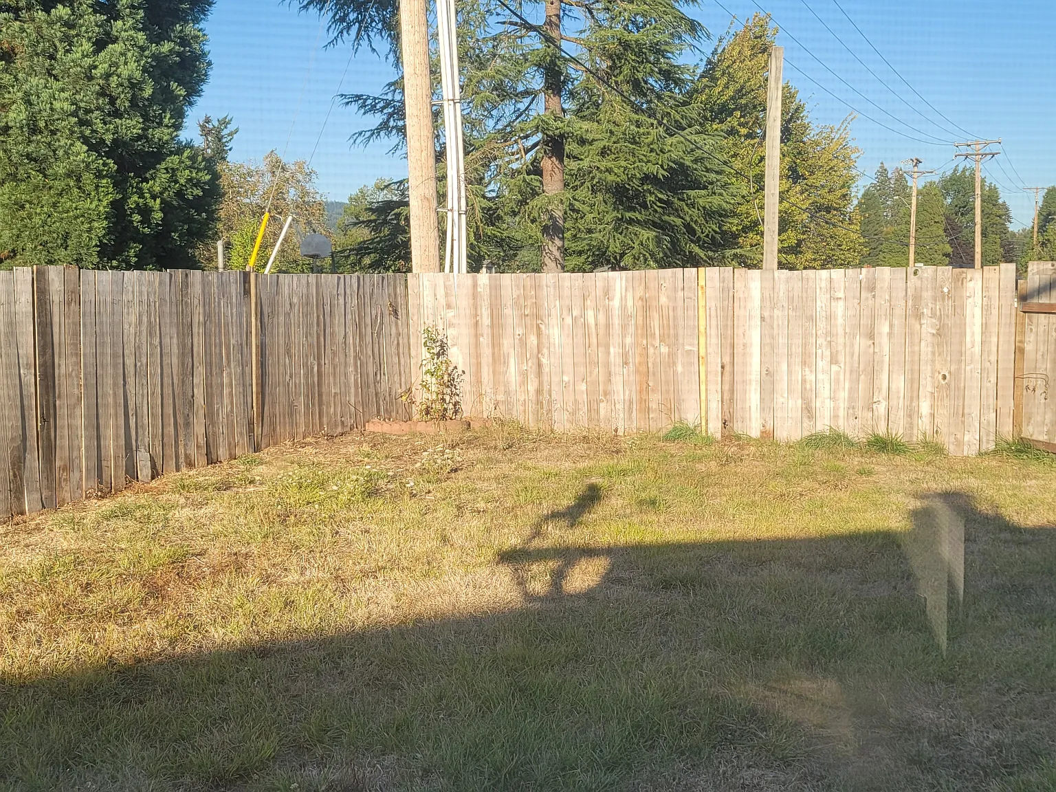 2 bed, 1.5 bath, 1100 sqft, $1,800 — Photo 2