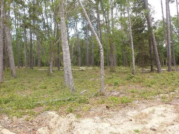 109 Gales Landing, Newport, NC 28570