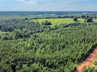 Welch Rd, Buena Vista, GA 31803