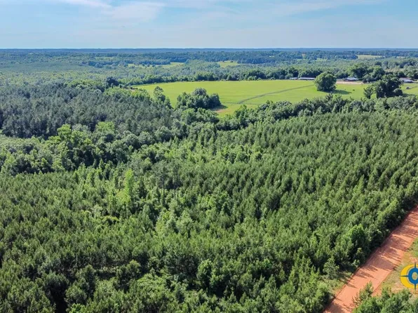 Welch Rd, Buena Vista, GA 31803