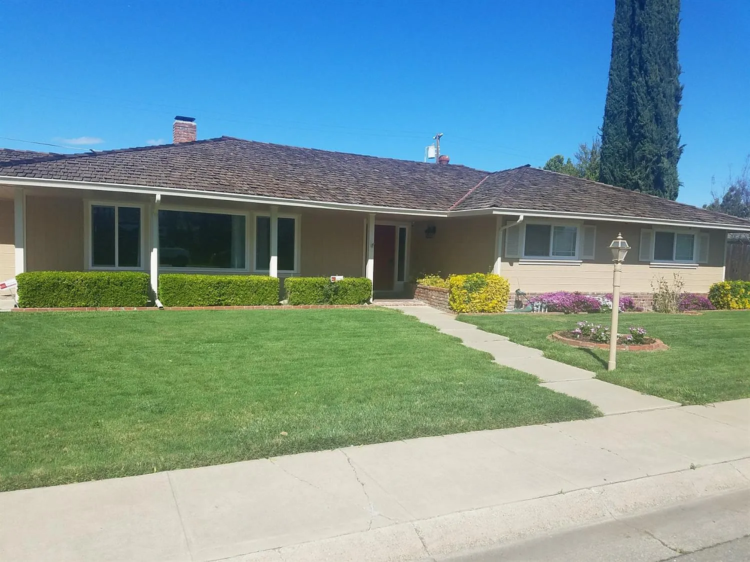 855 Madrone Ln photo 1