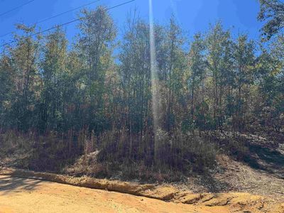 NE Rocky Ford Rd, Pinetta, FL, 32350
