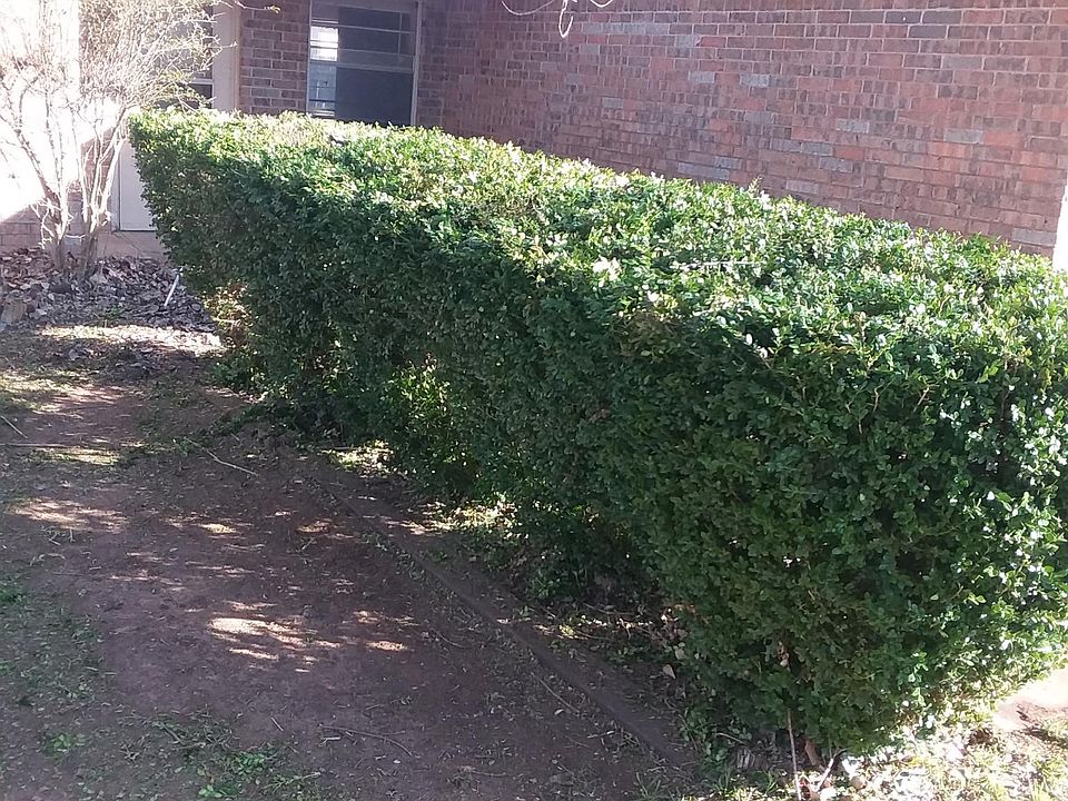2nd image of 111 Elk Dr