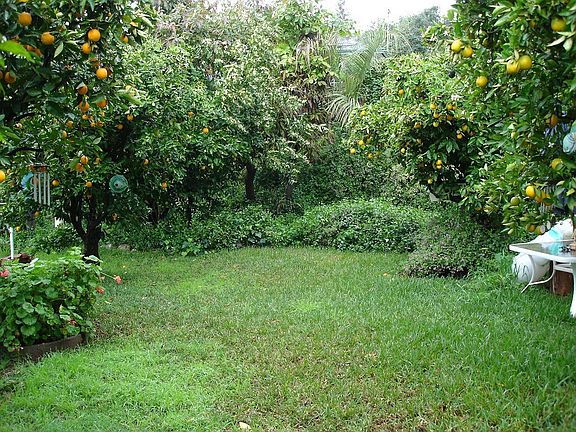 2nd level backyard