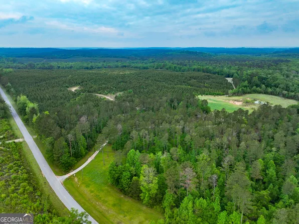 6620 Jr Sims Rd, Irwinton, GA 31042