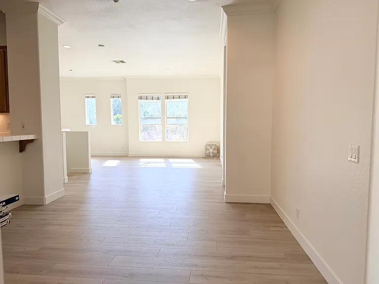 Dining/Living
