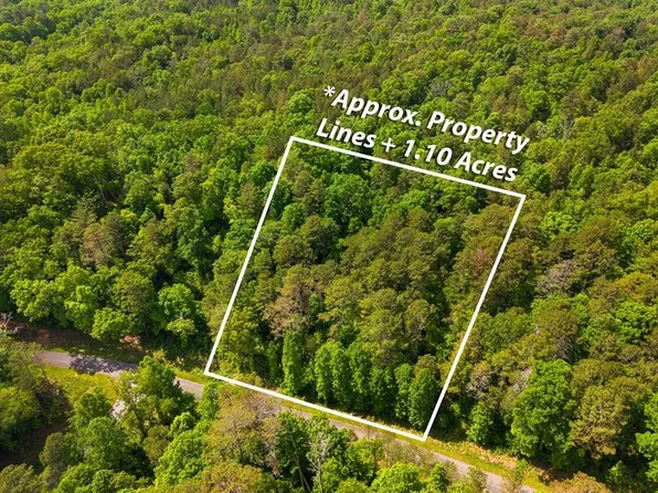 240 Pinnacle Dr, Ellijay, GA 30540