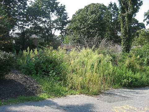 1st image of 60 West Dr