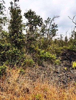 1st image of Paradise Pkwy Lot 25