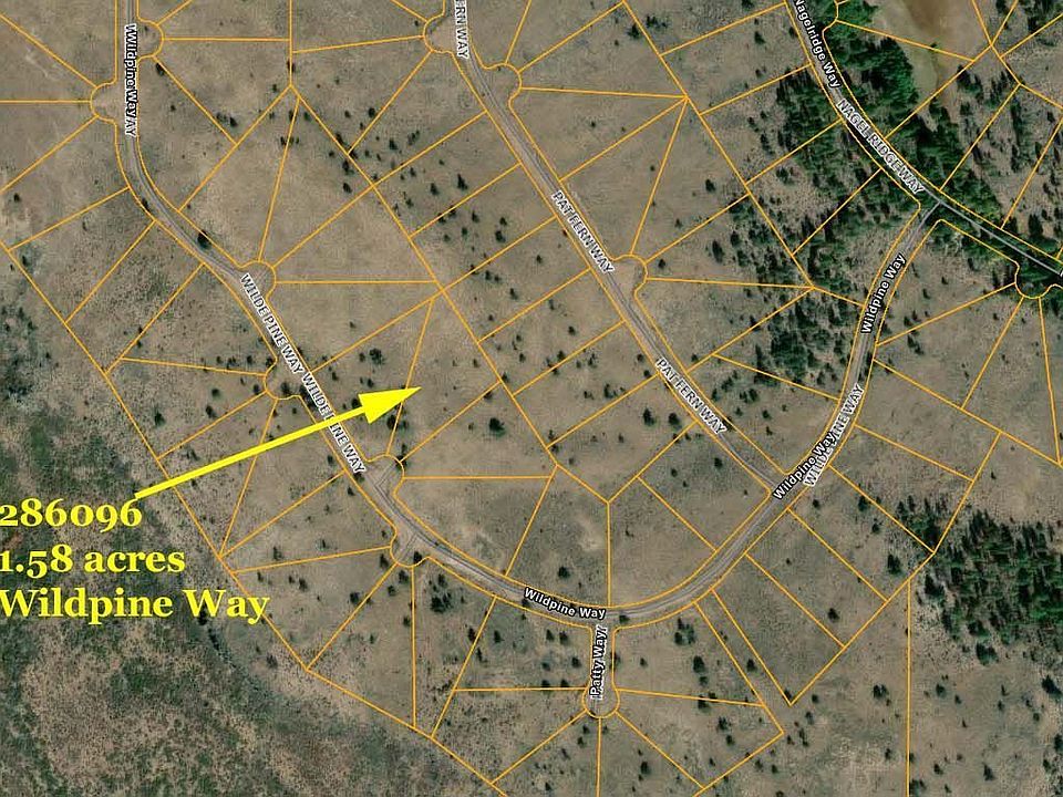 2nd image of Wildpine Way