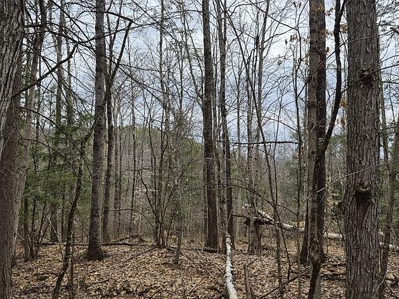 3rd image of Pond Rd