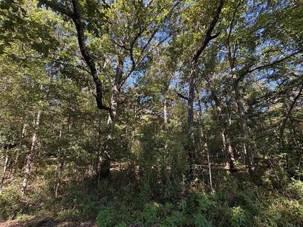 25595 Highway 787, Thicket, TX 77374