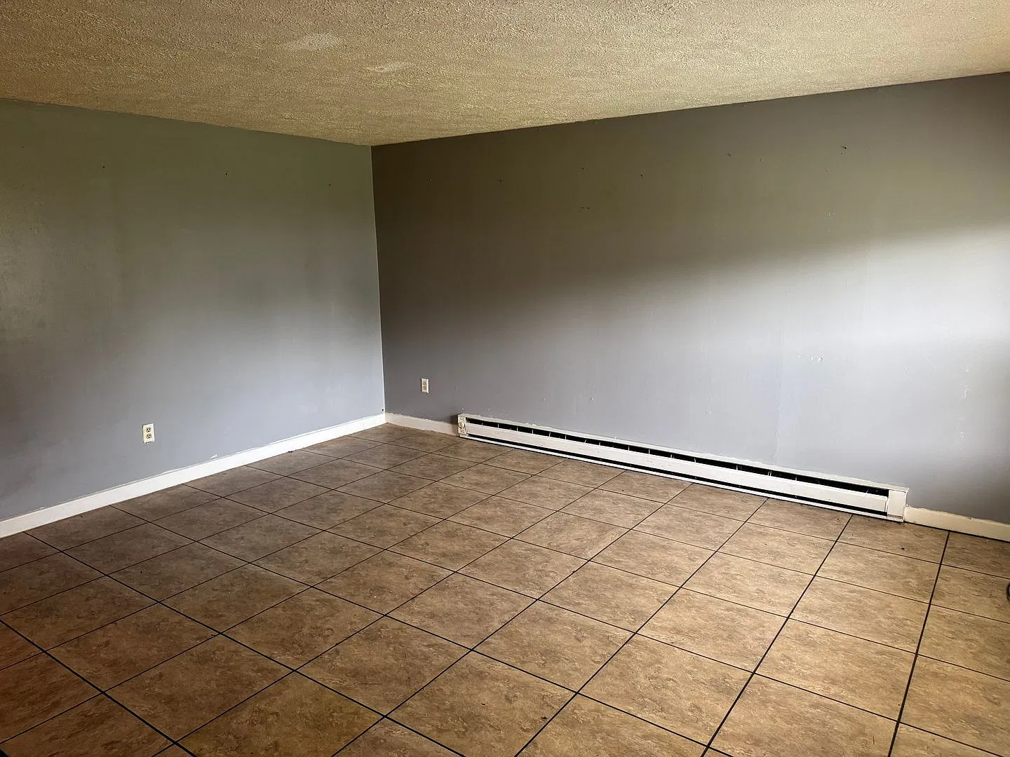 1333 Cora Lane — Photo 2
