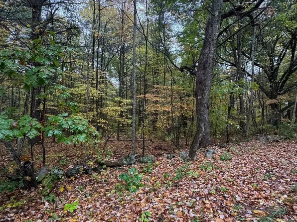 2 W Brookfield Rd, New Braintree, MA 01531