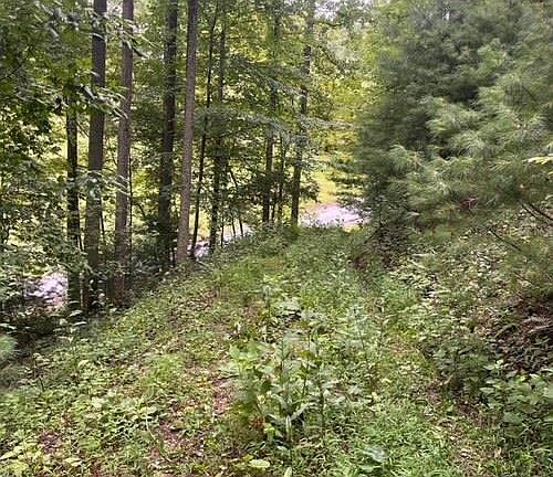 2nd image of 18 Horseshoe Cove Dr