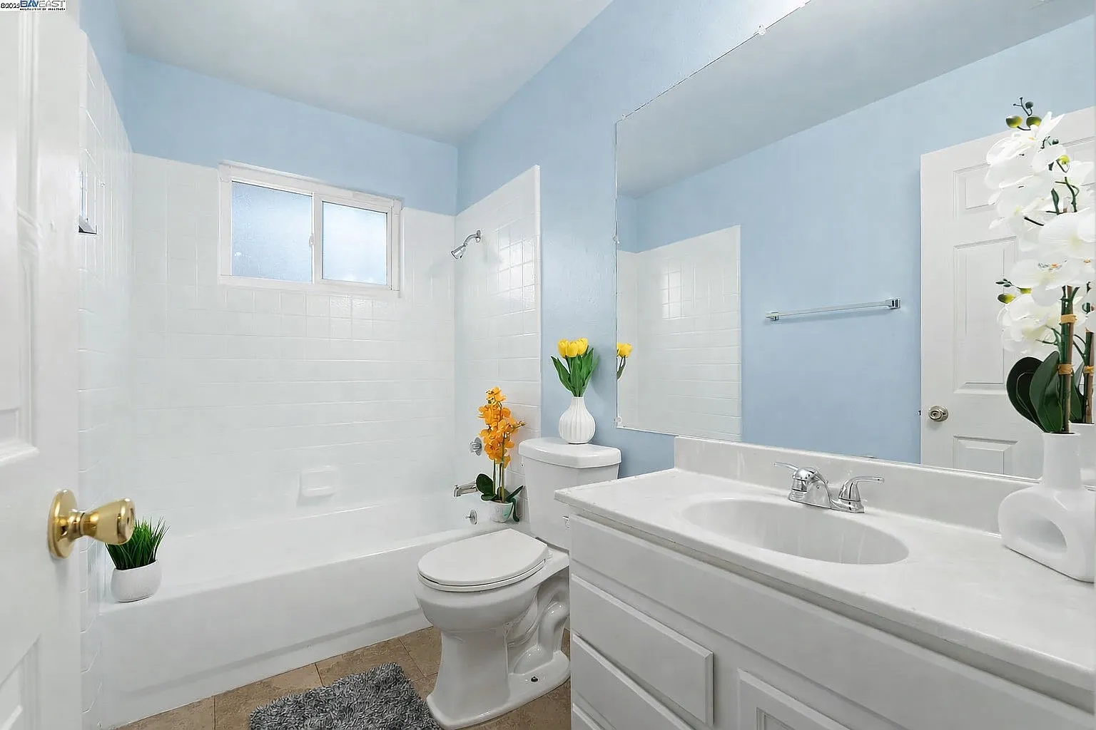 2208 Peppertree Way APT 3 photo 1