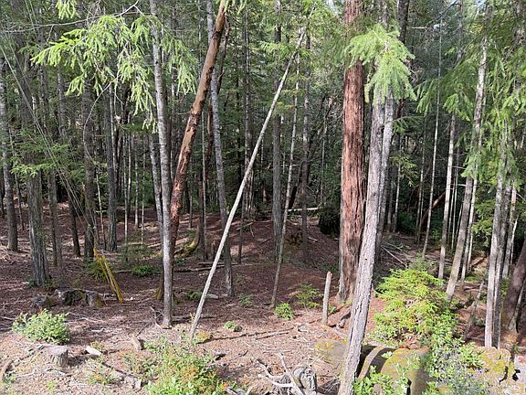 4th image of 24908 - 24912 Clover Road