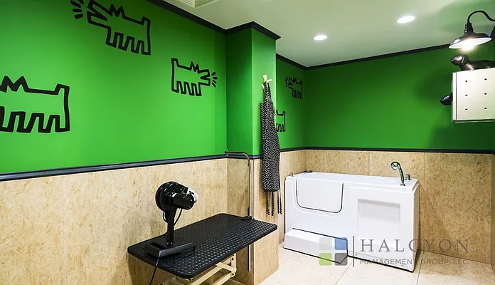 Rented by Halcyon Management Group LLC | media 31