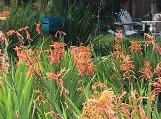 1239 Blake St, Berkeley, CA 94702