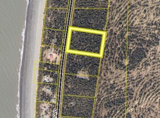 L2-B3 S Cohoe Loop Rd, Kasilof, AK 99610
