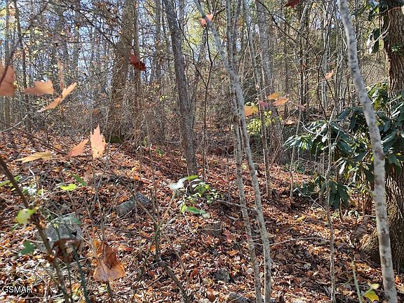 2nd image of 0 Carson Springs Rd Lot 63